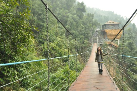 莽山森林溫泉~挪亞方舟