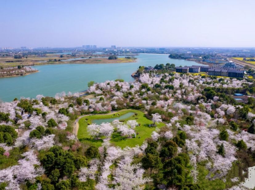 淺山森林美術公園