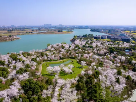 淺山森林美術公園