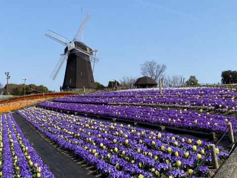 花博記念公園鶴見綠地~風車之丘