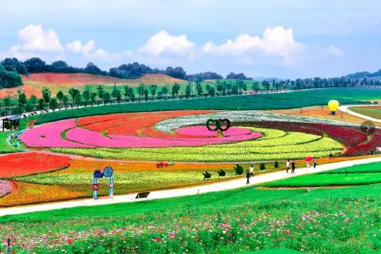 五彩花田