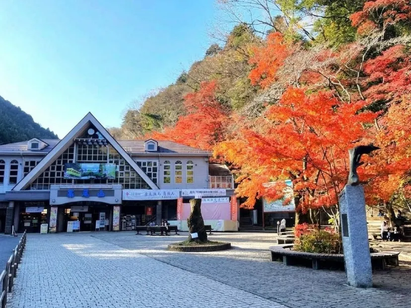 「米芝蓮3星景點」高尾山