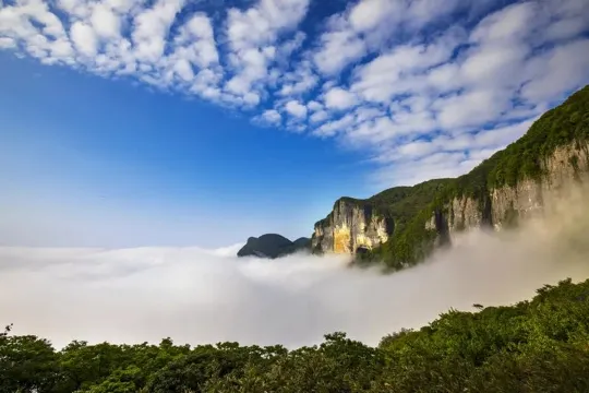 金佛山國家森林公園