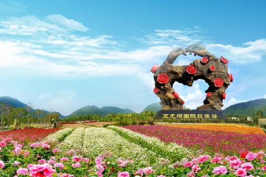 亞龍灣國際玫瑰谷