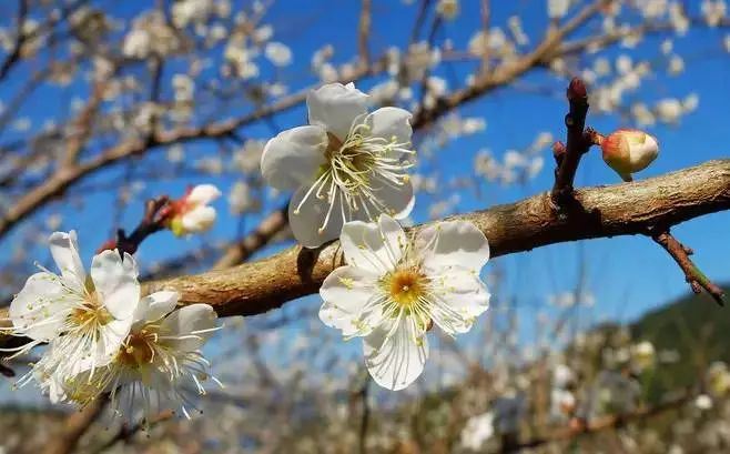 流溪河國家森林公園