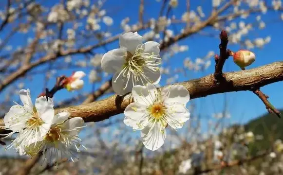 流溪河國家森林公園