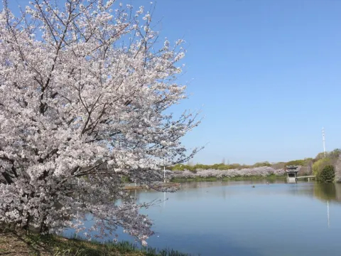 花博記念公園鶴見綠地~風車之丘