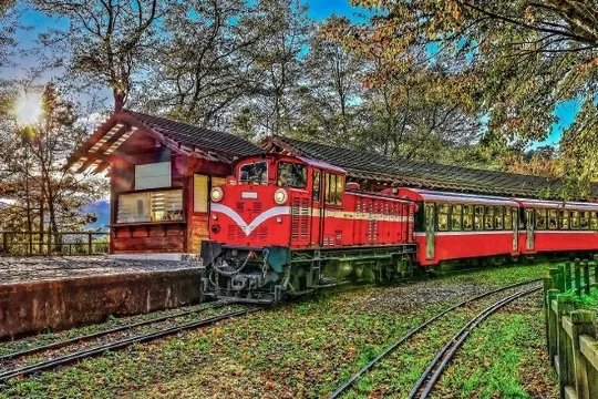 阿里山森林小火車