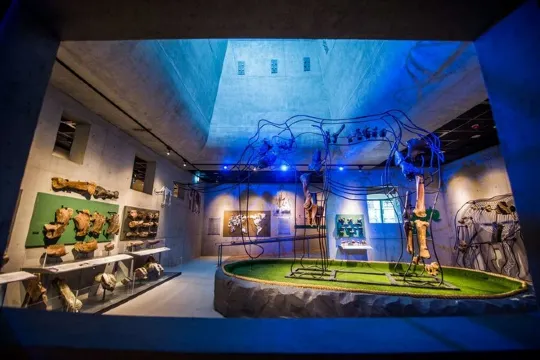 台南左鎮化石園區