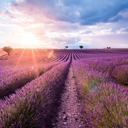 歐洲當地參團(1人可出發#)~法國、西班牙 7天之旅《逢星期六出發》