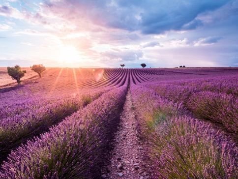 歐洲當地參團(1人可出發#)~法國、西班牙 7天之旅《逢星期六出發》