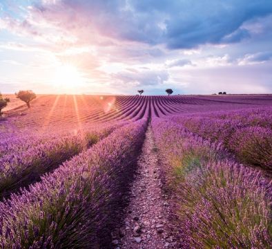 歐洲當地參團(1人可出發#)~「法國、西班牙」7天之旅《逢星期六出發》