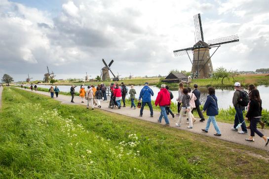 小孩堤防風車群