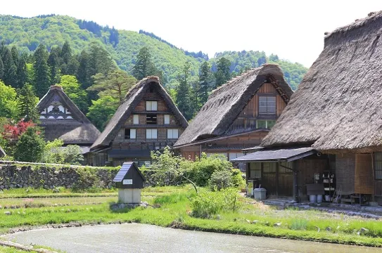 白川鄉合掌村