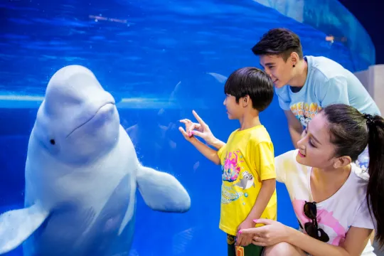 珠海長隆海洋王國