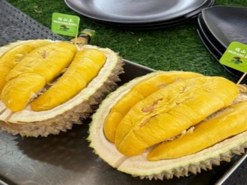 馬六甲果園Eco Do Bem Farm