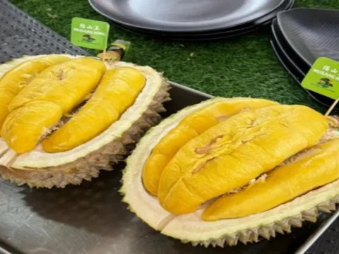 馬六甲果園Eco Do Bem Farm