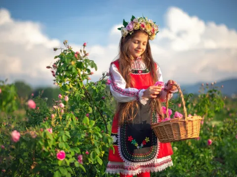 保加利亞_玫瑰谷