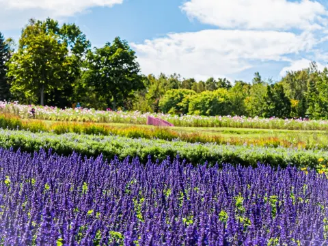 國營瀧野鈴蘭丘陵公園