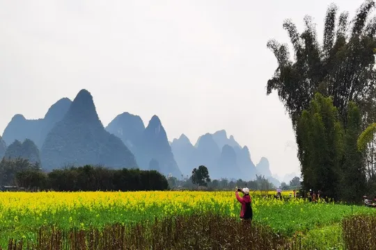 漫步遇龍河賞油菜花