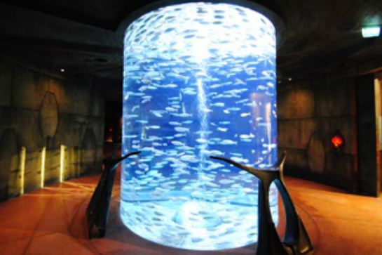 杜拜Lost Chambers海底世界