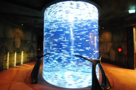 杜拜Lost Chambers海底世界