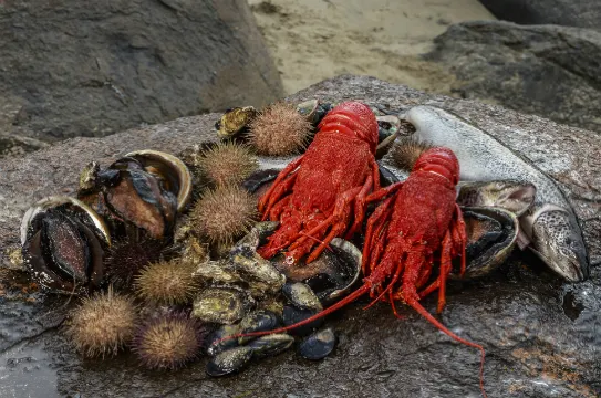 即捕即食海鮮之旅