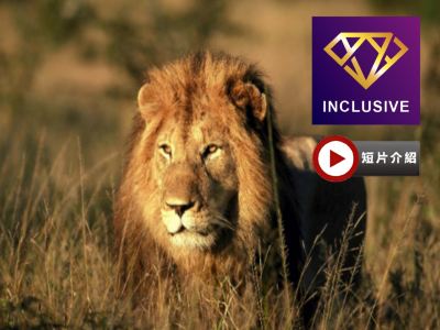 南非皇牌之旅 9天豪華團/保證2晚住宿全南非最頂級最豪華，兼世界十大酒店之一的宮殿式「The Palace Hotel」/重本安排品嚐【原隻南非鮑魚】全鮑宴及非洲獨有【珍禽野味燒烤餐】【優遊全包】
