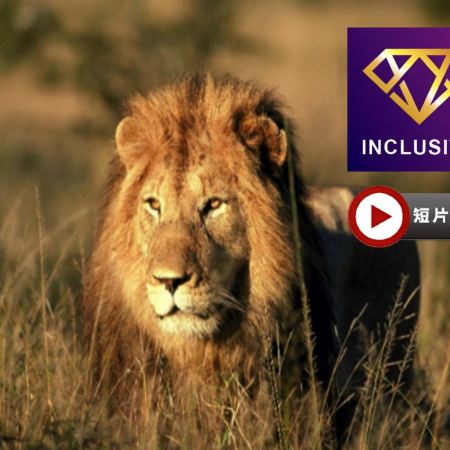 南非皇牌之旅 9天豪華團/保證2晚住宿全南非最頂級最豪華，兼世界十大酒店之一的宮殿式「The Palace Hotel」/重本安排品嚐【原隻南非鮑魚】全鮑宴及非洲獨有【珍禽野味燒烤餐】【優遊全包】
