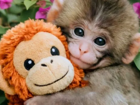 市川市動植物園