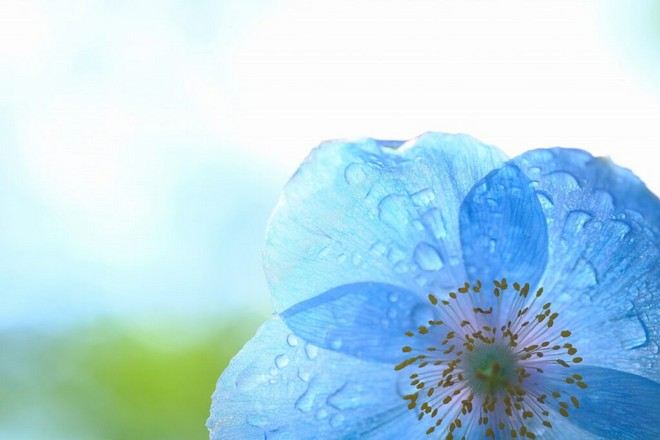 國營瀧野鈴蘭丘陵公園