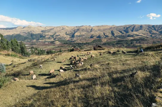 【聖谷】Sacred Valley(From Pixbay)