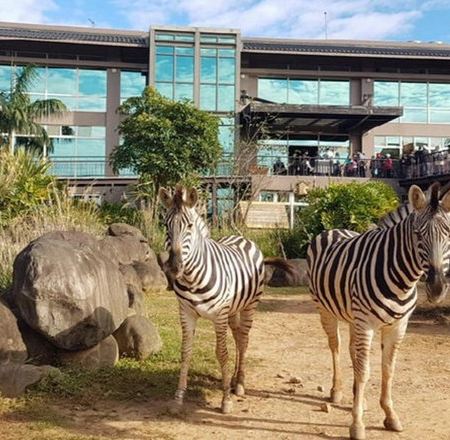 台北+苗栗+亞洲第一座動物園區-六福莊生態度假酒店及主題樂園 4天親子樂團 *再減$160 憑指定中銀咭推廣碼 《BOC160A2》