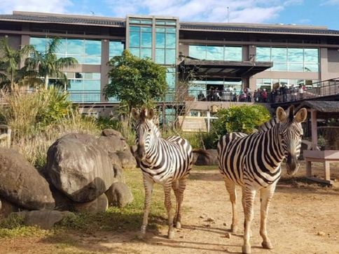 台北+苗栗+亞洲第一座動物園區-六福莊生態度假酒店及主題樂園 4天親子樂團 