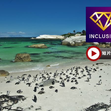 津巴布韋、博茨瓦納、南非 9天深度體驗之旅/ 遊覽非洲南部第一大河～贊比西河/進入高比野生動物保護區，追蹤及近距離觀看野生動物／品嚐原隻龍蝦、海鮮拼盤、【原隻南非鮑魚】全鮑宴及薑蔥焗生蠔【優遊全包】
