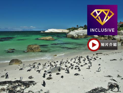 津巴布韋、博茨瓦納、南非 9天深度體驗之旅/ 遊覽非洲南部第一大河～贊比西河/進入高比野生動物保護區，追蹤及近距離觀看野生動物／品嚐原隻龍蝦、海鮮拼盤、【原隻南非鮑魚】全鮑宴及薑蔥焗生蠔【優遊全包】
