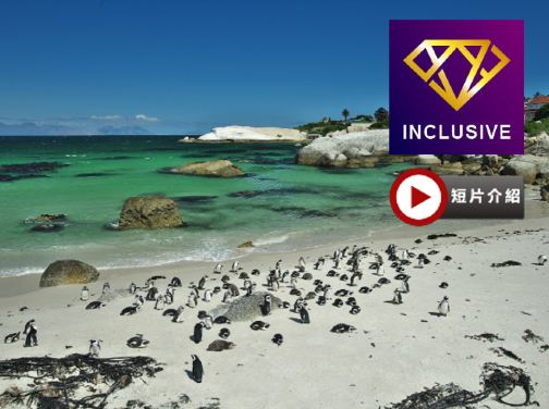 津巴布韋、博茨瓦納、南非 9天深度體驗之旅/ 遊覽非洲南部第一大河~贊比西河/進入高比野生動物保護區,追蹤及近距離觀看野生動物/品嚐原隻龍蝦、海鮮拼盤、【原隻南非鮑魚】全鮑宴及薑蔥焗生蠔【優遊全包】
津巴布韋、博茨瓦納、南非 9天深度體驗之旅/ 遊覽非洲南部第一大河~贊比西河/進入高比野生動物保護區,追蹤及近距離觀看野生動物/品嚐原隻龍蝦、海鮮拼盤、【原隻南非鮑魚】全鮑宴及薑蔥焗生蠔【優遊全包】