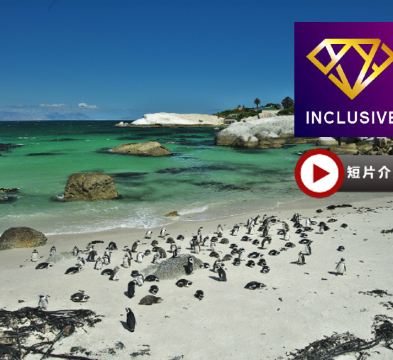 津巴布韋、博茨瓦納、南非 9天深度體驗之旅/ 遊覽非洲南部第一大河～贊比西河/進入高比野生動物保護區，追蹤及近距離觀看野生動物／品嚐原隻龍蝦、海鮮拼盤、【原隻南非鮑魚】全鮑宴及薑蔥焗生蠔【優遊全包】
