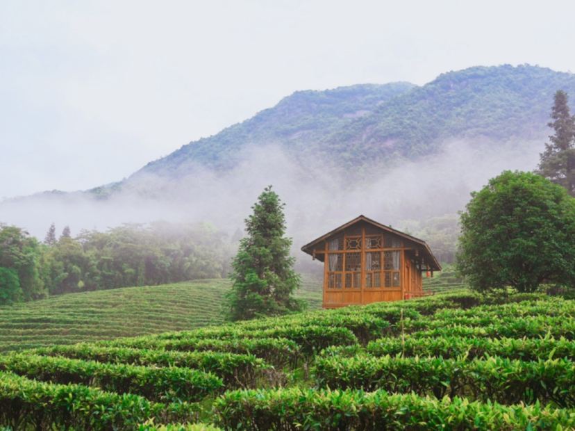 姑婆山國家森林公園