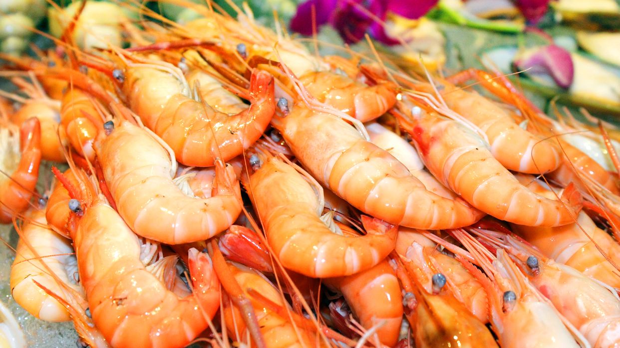 環球美食海鮮自助晚餐