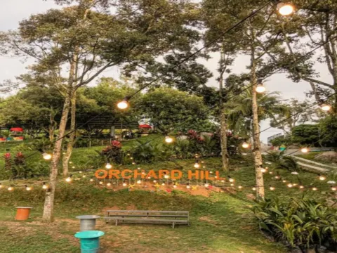 果園~ Orchard Hill