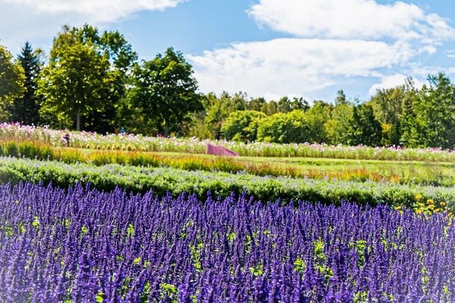 國營瀧野鈴蘭丘陵公園