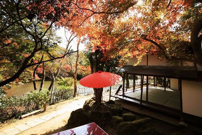 御船山樂園紅葉祭