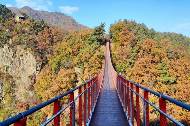 紺嶽山吊索橋 秋