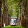 高雄台中台北超值5天團 瑞豐夜市、鹿港老街、桂花巷藝術村、高美濕地、台中歌劇院、幾米月亮公車、十分瀑布、十分老街放天燈【免費代辦台灣簽證(網證)*】