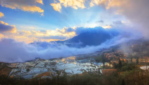 多依樹梯田景區