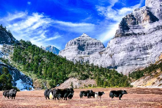 香巴拉天然佛塔