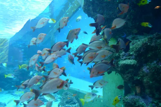 海洋博公園