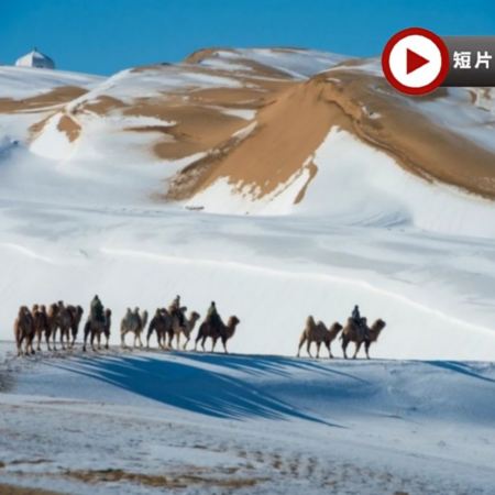 【直航大同】內蒙古、山西跨省聯遊草原+沙漠+溫泉8天純玩團
  響沙灣、哈素海旅遊區~敕勒川草原、大召寺、成吉思汗陵、雲岡石窟、懸空寺、應懸木塔、大同城牆、"山西華清池"湯頭溫泉