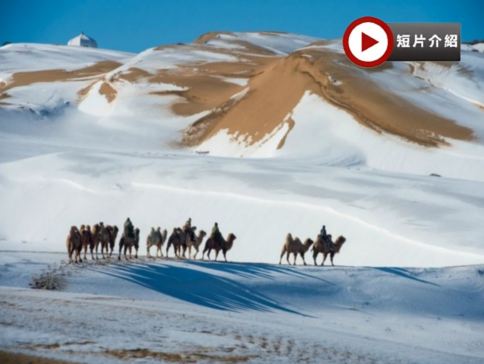 【直航大同】內蒙古、山西跨省聯遊草原+沙漠+溫泉8天純玩團
  響沙灣、哈素海旅遊區~敕勒川草原、大召寺、成吉思汗陵、雲岡石窟、懸空寺、應懸木塔、大同城牆、"山西華清池"湯頭溫泉